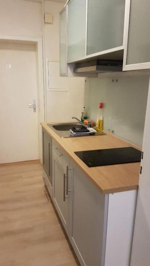 Apartment Studio-apartments & Moeblierte Fuer Monteure Zentral In